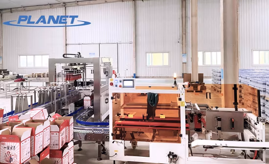 Automatic High Speed Carton Box Cardboard Box Filling Machine and Packaging Machines